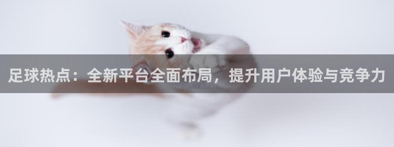 足球热点：全新平台全面布局，提升用户体验与竞争力