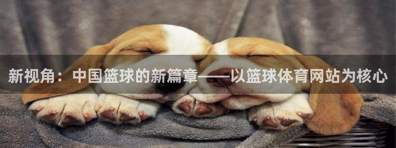 新视角：中国篮球的新篇章——以篮球体育网站为核心