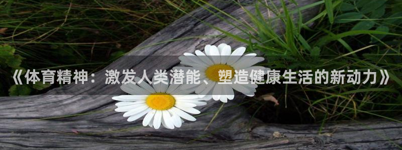 《体育精神：激发人类潜能、塑造健康生活的新动力》