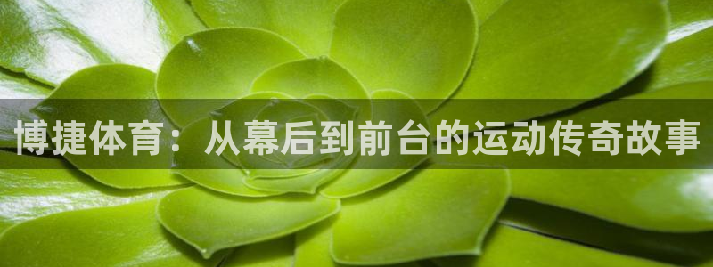 博捷体育：从幕后到前台的运动传奇故事