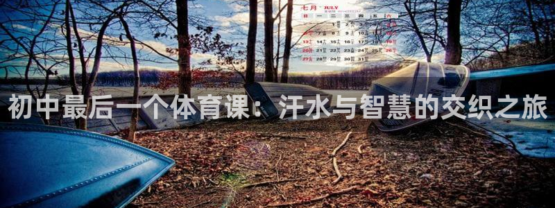 初中最后一个体育课：汗水与智慧的交织之旅
