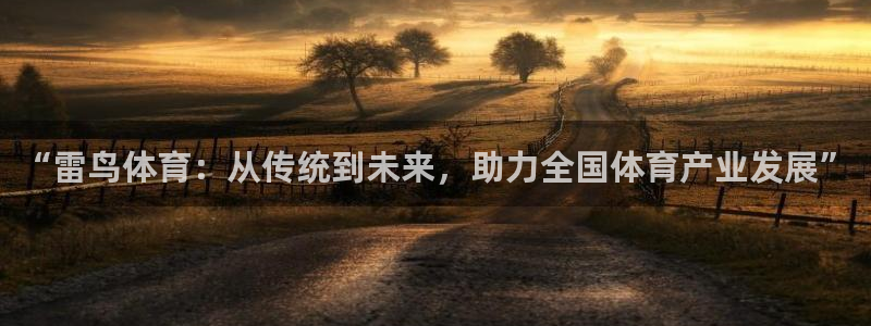 乐球体育直播app下载安装：“雷鸟体育：从传统到未来，助力全国体育产业发展”