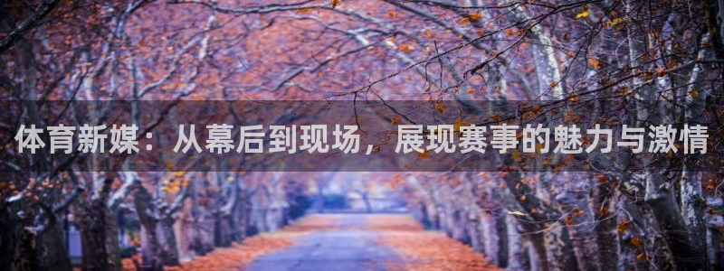 乐球直播体育直播：体育新媒：从幕后到现场，展现赛事的魅力与激情
