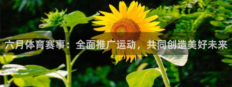 乐球免费体育直播