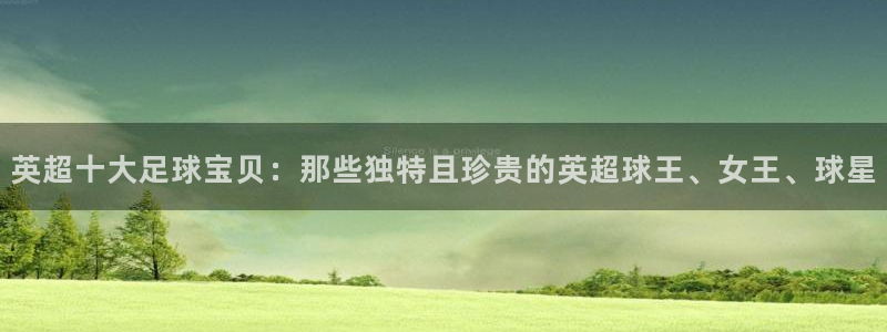 乐球直：英超十大足球宝贝：那些独特且珍贵的英超球王、女王、球星