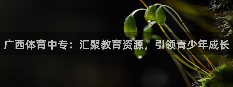 nba直播免费直播乐球直播