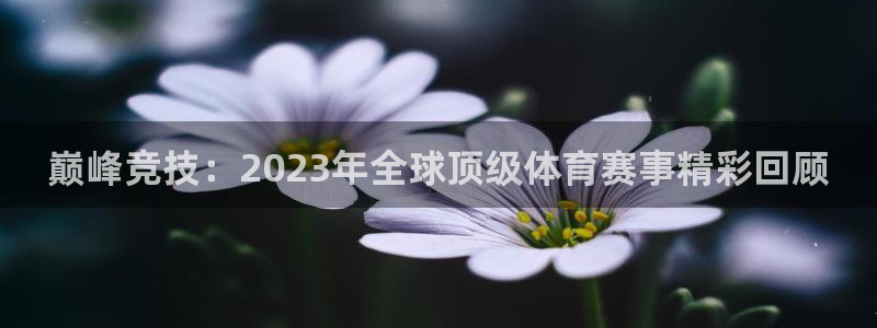 乐球体育在线观看：巅峰竞技：2023年全球顶级体育赛事精彩回顾