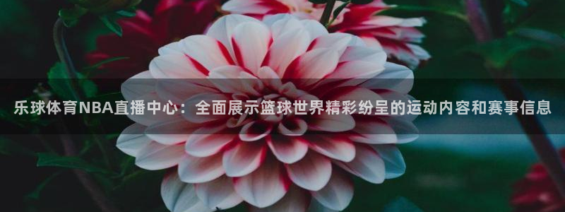 乐球直播体育免费观看：乐球体育NBA直播中心：全面展示篮球世界精彩纷呈的运动内容和赛事信息