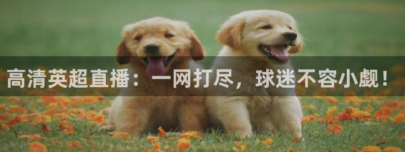 乐球直播入口：高清英超直播：一网打尽，球迷不容小觑！